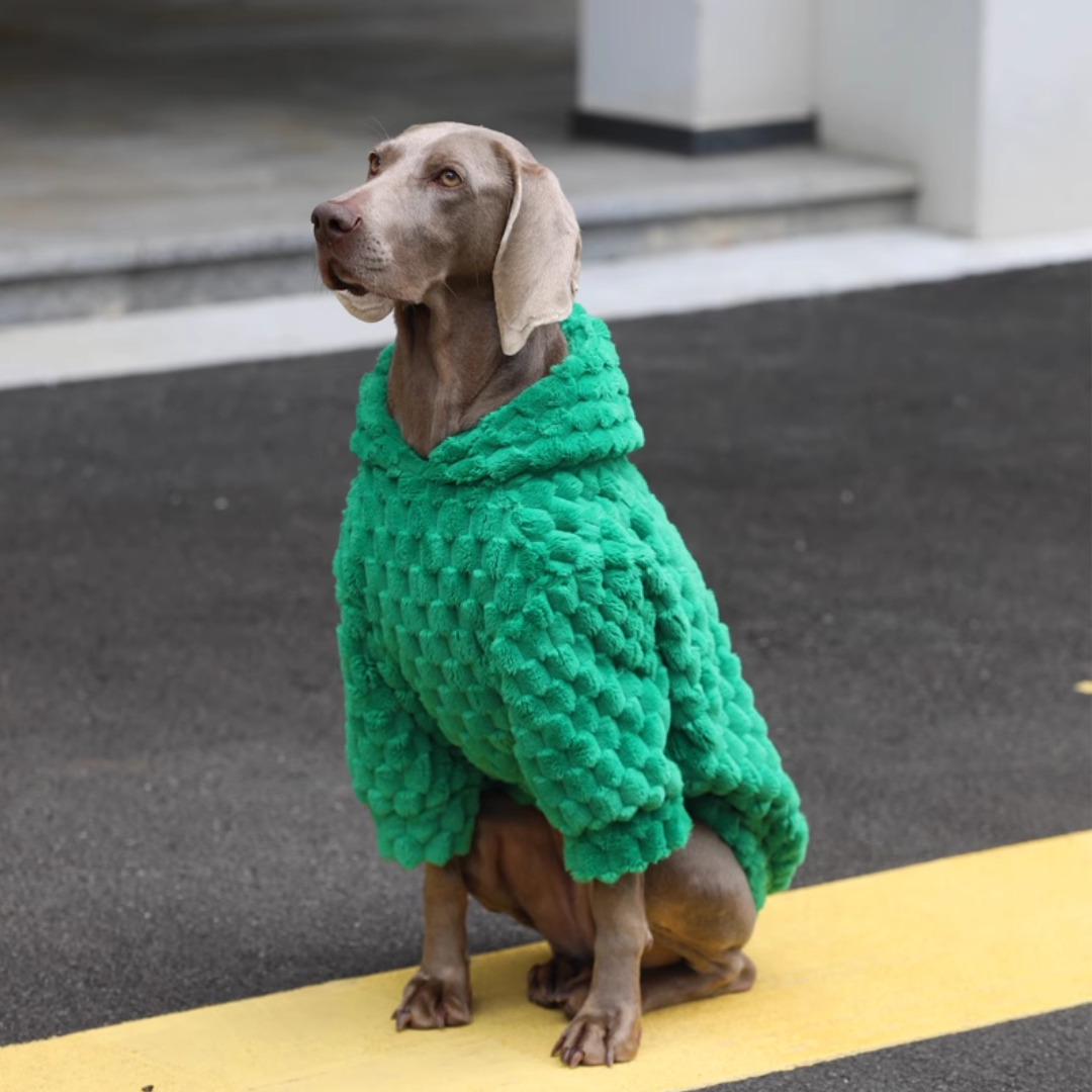Emerald Green Dog Hoodie