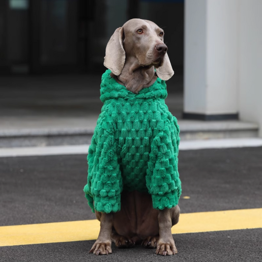 Emerald Green Dog Hoodie